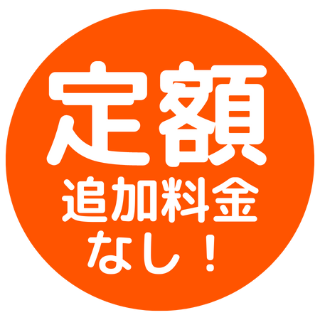 定額、追加料金なし